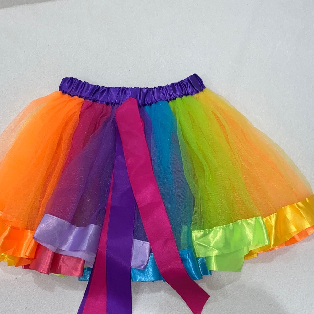 Colorful Rainbow Tulle Costume Skirt with Purple Waistband
